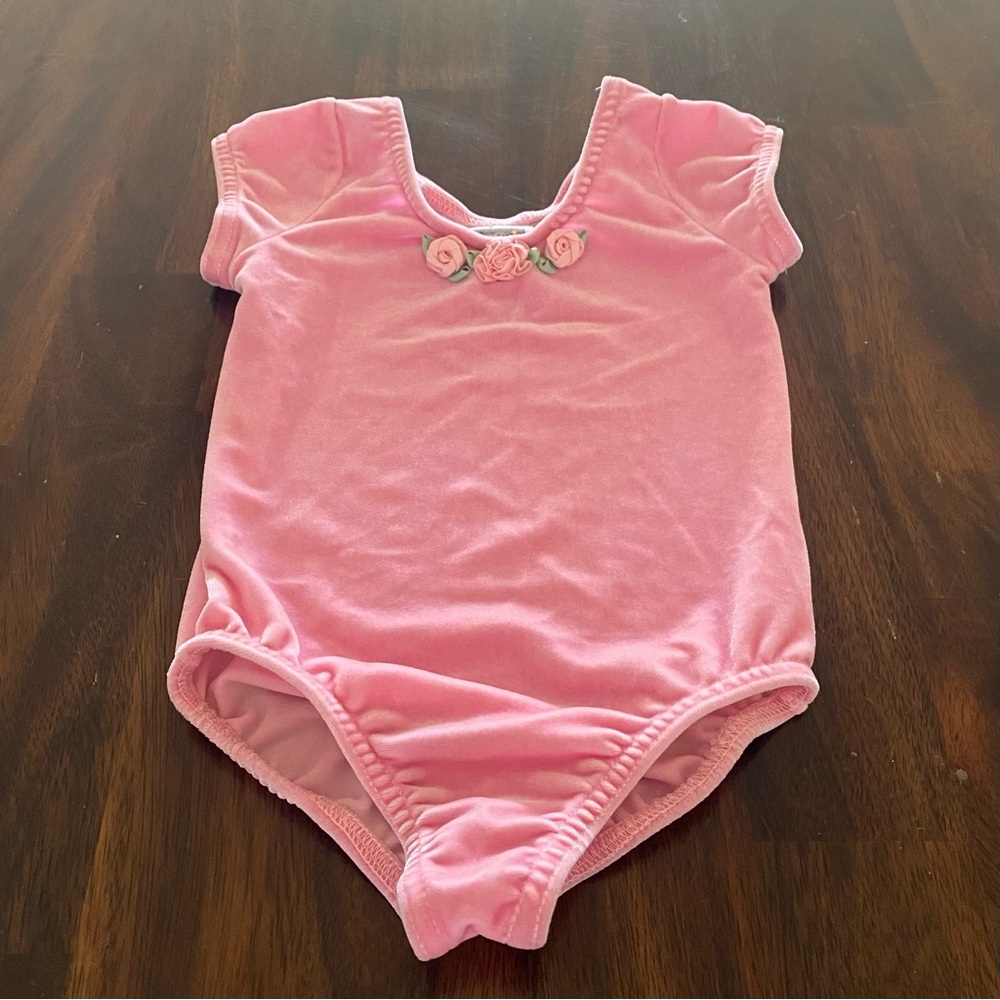 A Wish Come True Velvet English Garden Leotard